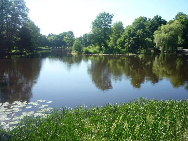 Zwierzyniec *-*