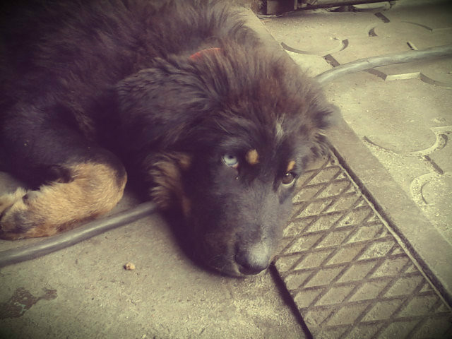 cudo.