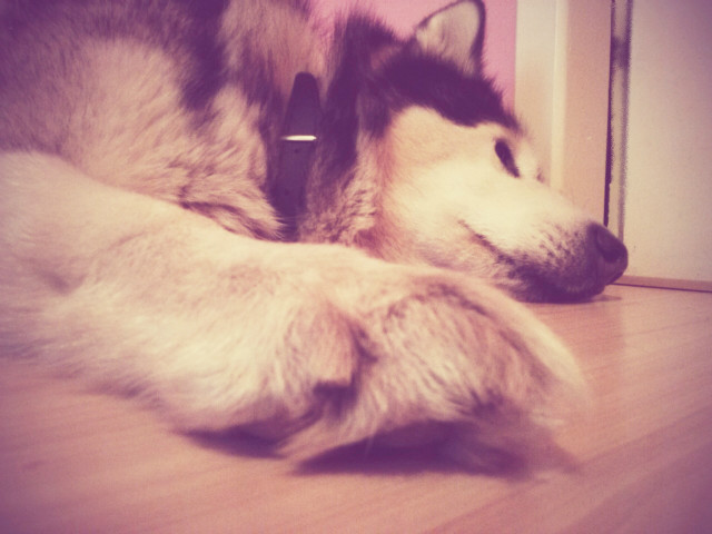 Wpis chcesztoznienawidzxx