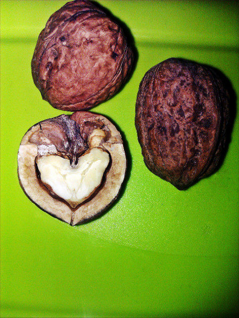 Wpis whiteechoco