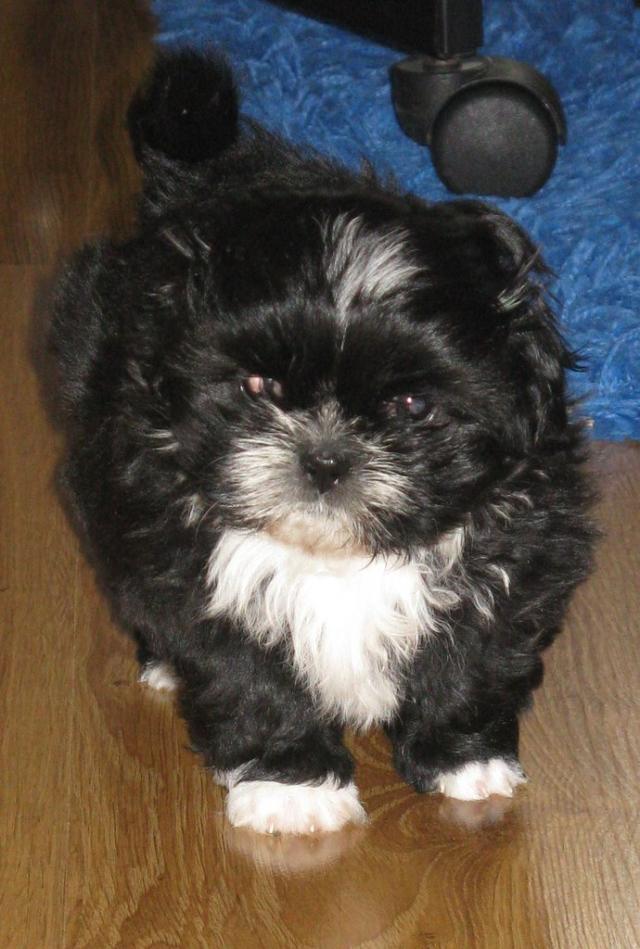 Carmen :)