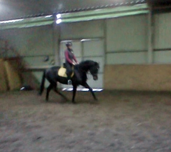 Wpis ascensorem