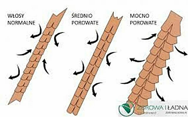 porowato wosw:)