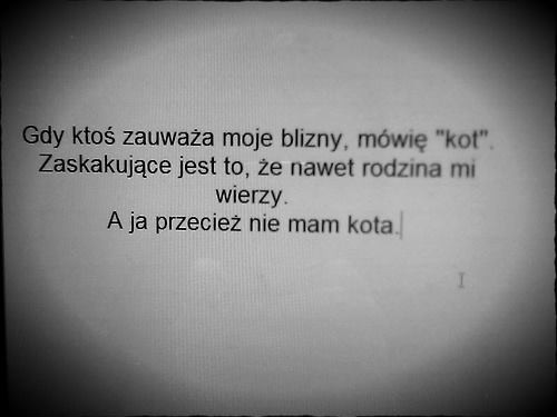 Wpis kyurixsan