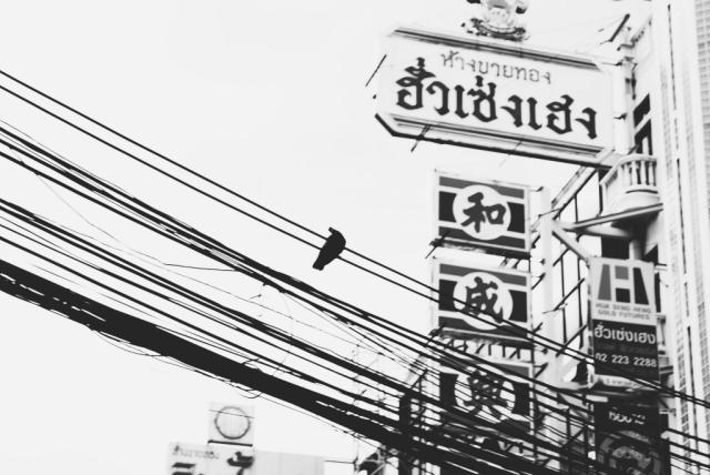Wpis ikuko