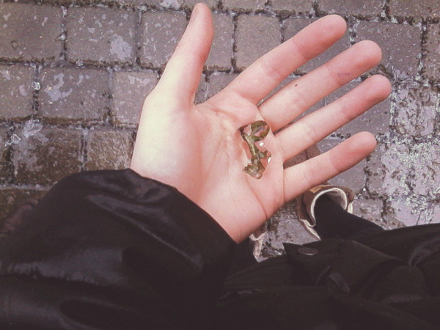 Wpis marysiaax33