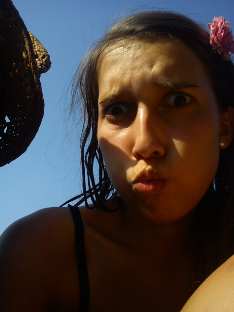 Wpis sooory