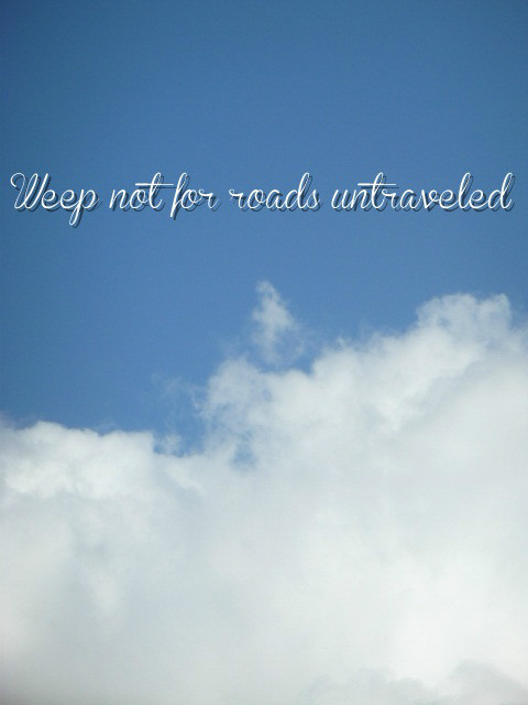 Roads Untraveled