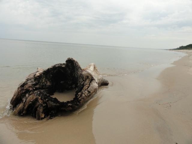 Wpis paulafoto1