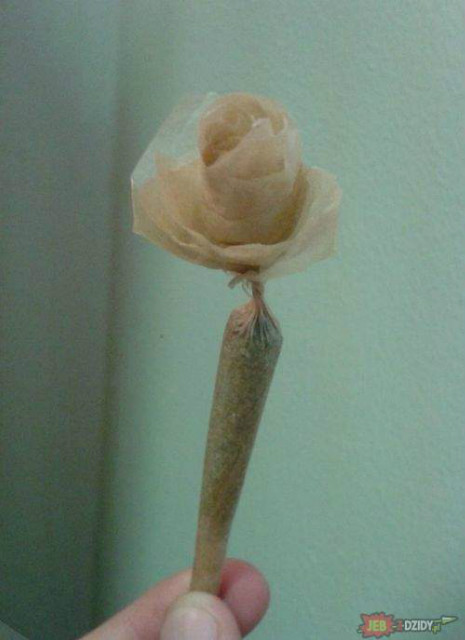 gift