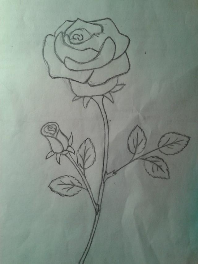 Wpis daftperson