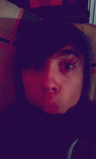 Wpis kucek