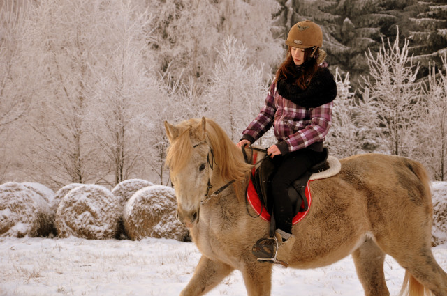 love.horse 