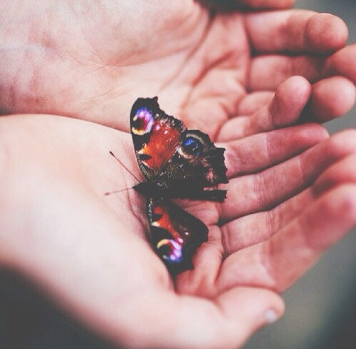 001. someone like u