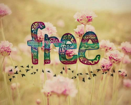 free ! 