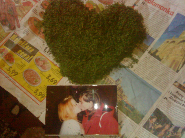 weeed