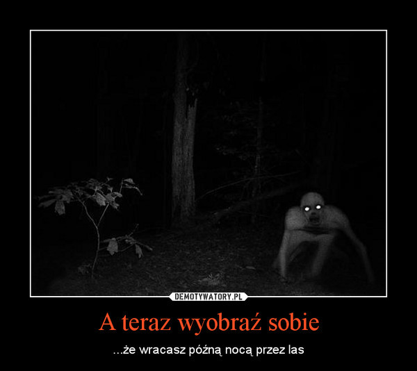 Wpis dariatworkowska