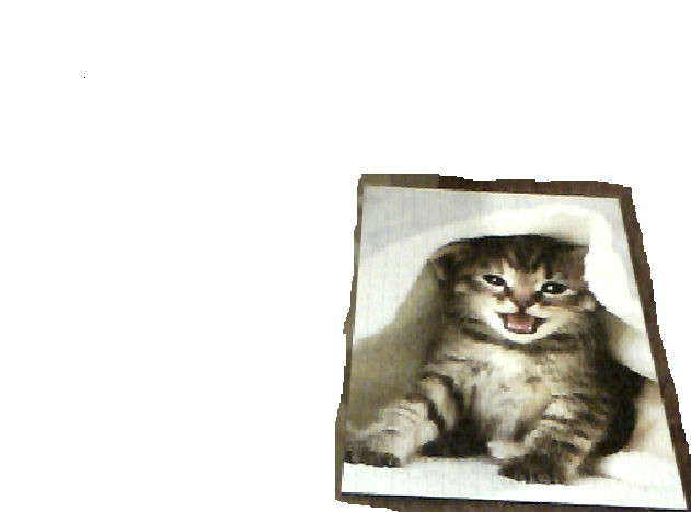 kiciu