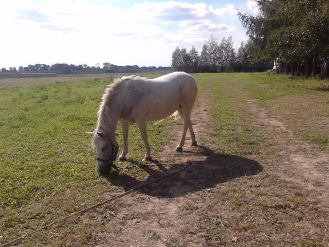 Witam was...