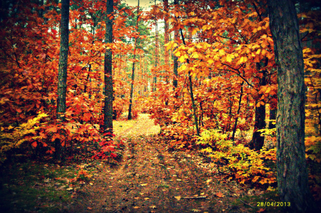 autumn. 2013 .:))!