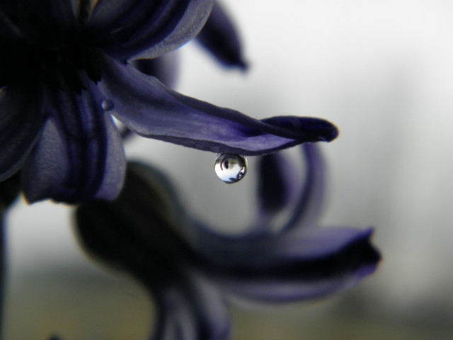 droplet