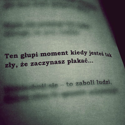Wpis krolikxd