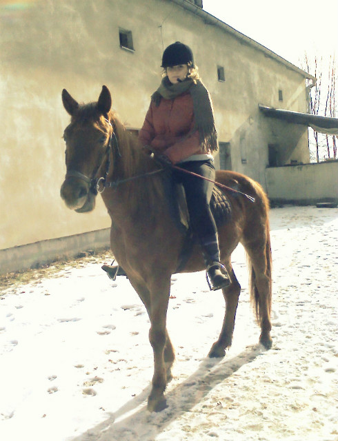 Czapsioo!