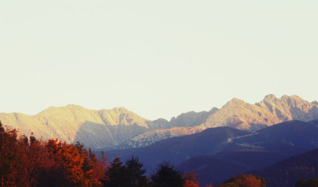 Landscape