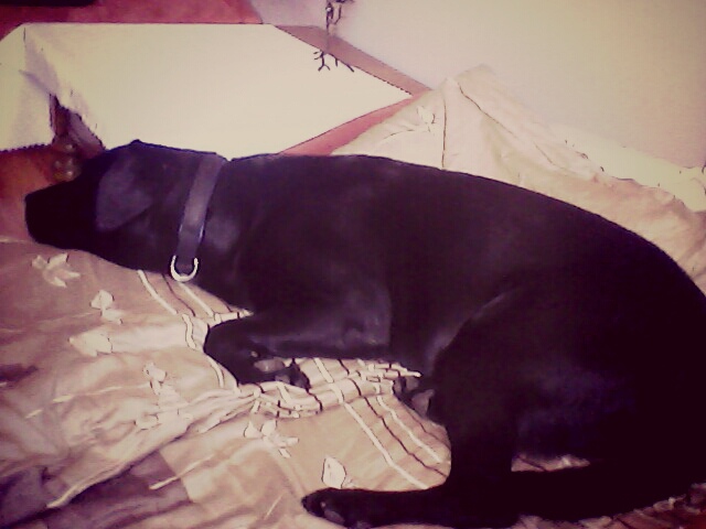charlie.