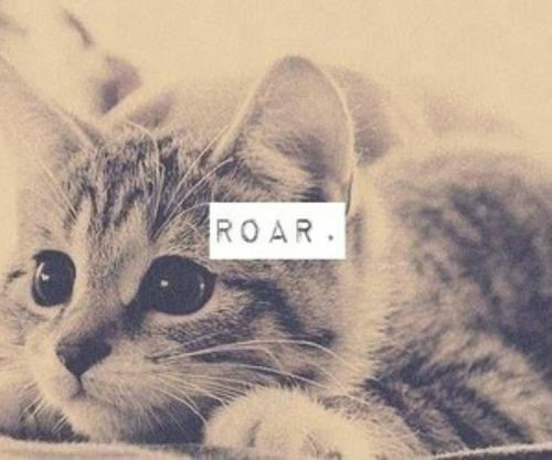 Meow 