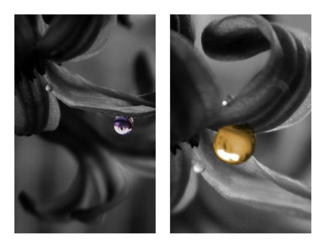 flowers&drop.