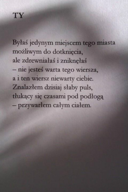 Wpis stokrotek