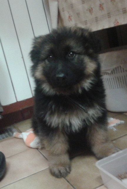 Ethan :D
