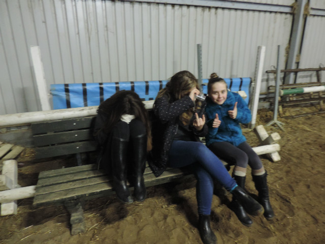Wpis mybayhorse