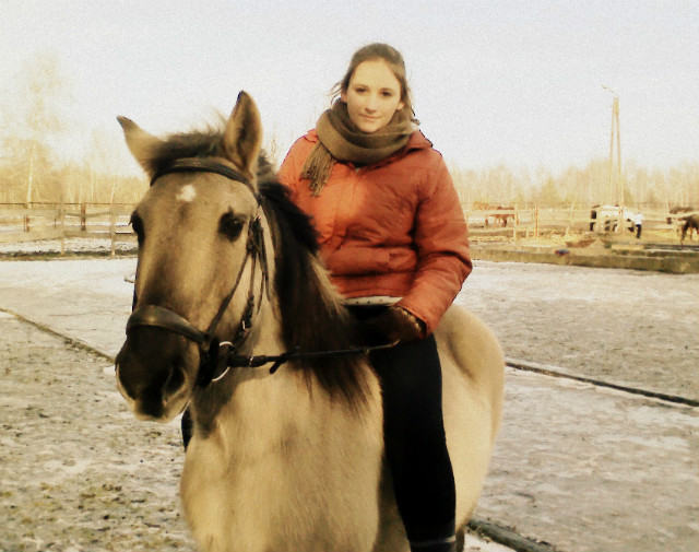 Grysia