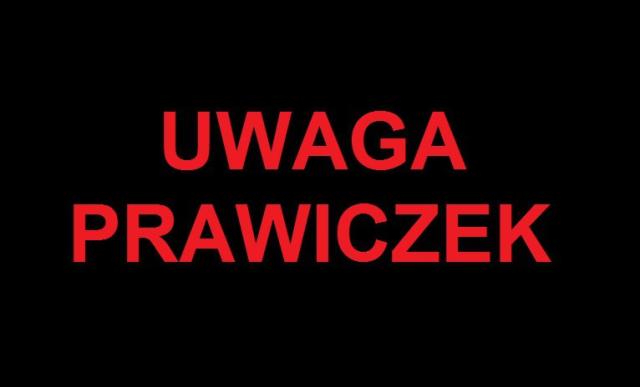 Prawiczek