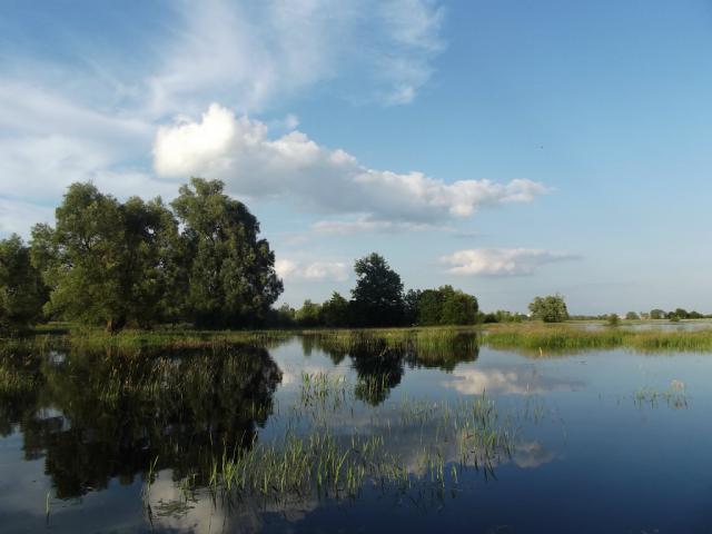 czyste odbicie