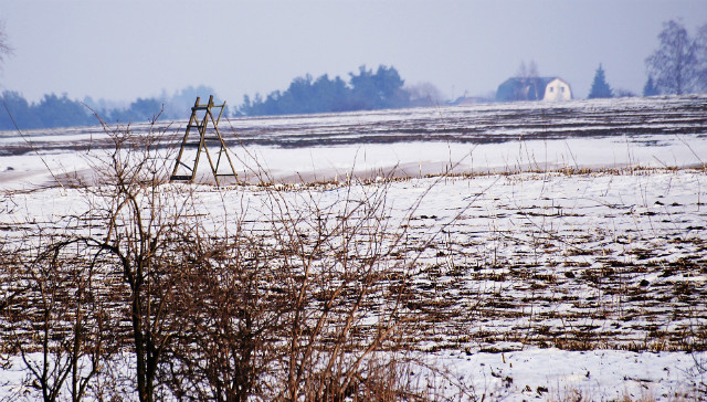 Wpis wisienka1997