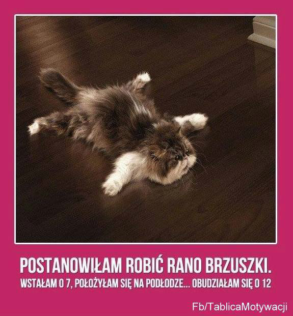 Wpis hatemybodyy