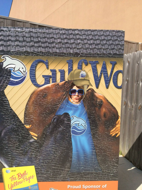 Wpis becomewild