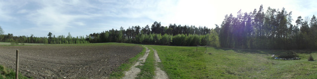 Brak konnych zdj ;/