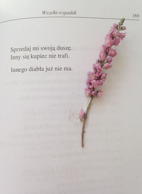 Wpis dobryomen
