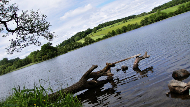 2010.