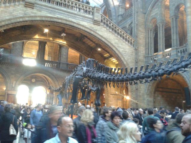 Natural History Museum