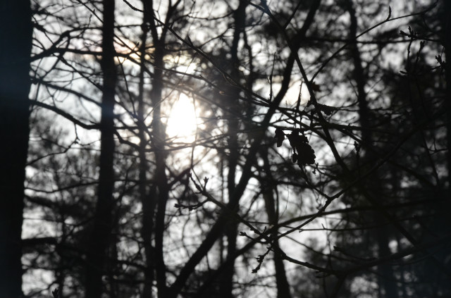 sunshine