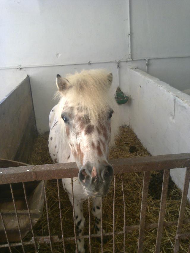 Apollo :*