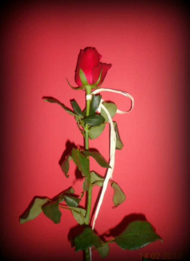 Happy Day's :)  