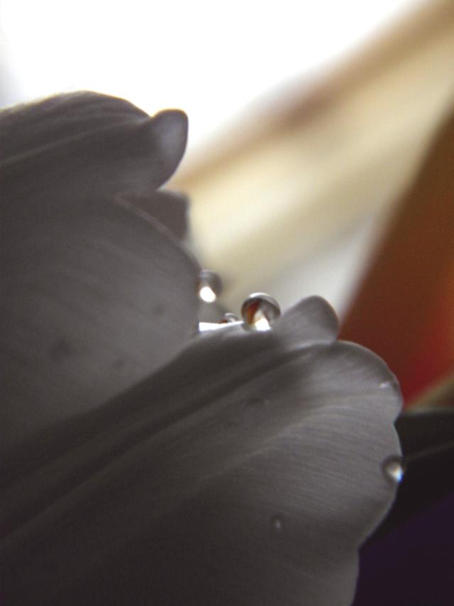 #drop