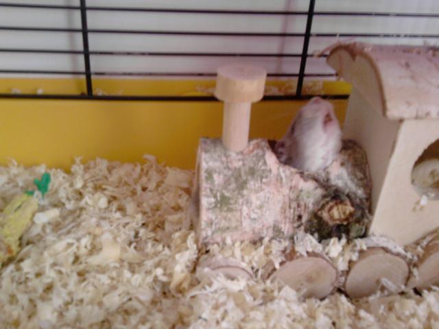 W pocigu :3