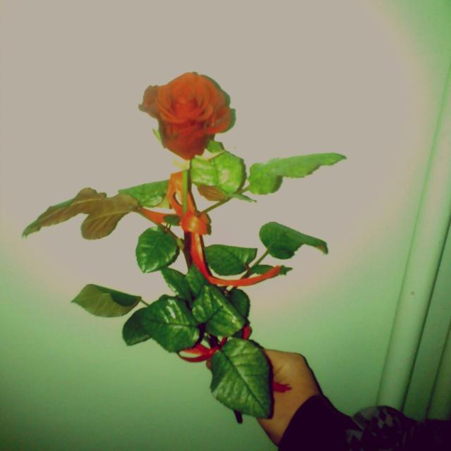 Wpis aniaakxd